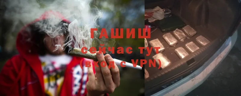 ГАШИШ VHQ Лукоянов