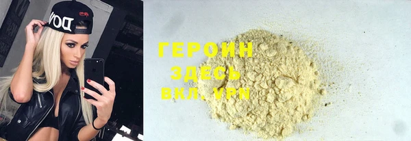 гидра Няндома