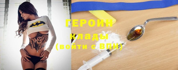 гидра Няндома