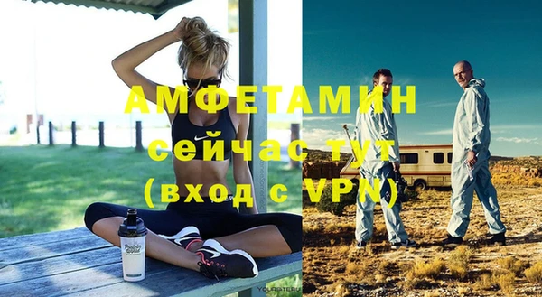 гидра Няндома