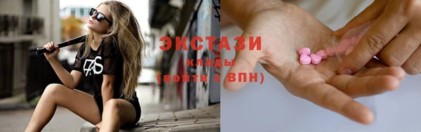 гидра Няндома