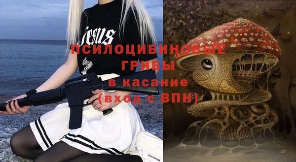 молекула духа Нязепетровск