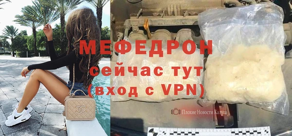 гидра Няндома