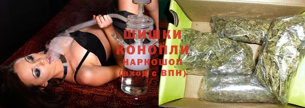 гидра Няндома