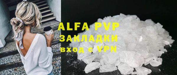 гидра Няндома