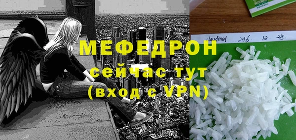 гидра Няндома
