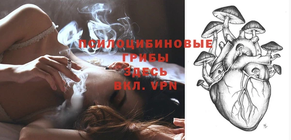 ПСИЛОЦИБИНОВЫЕ ГРИБЫ Осташков